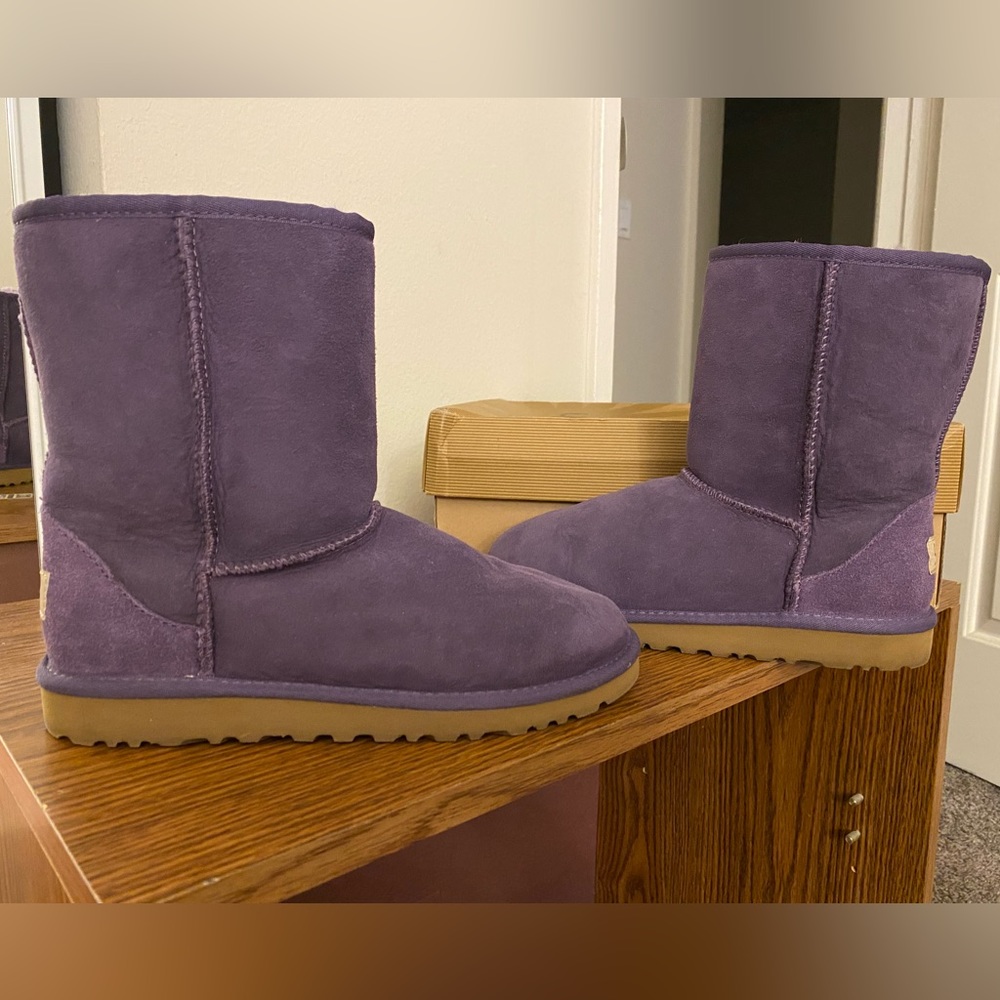 Purple Classic Uggs